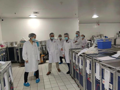 服務航空配餐企業，助力航空食品安全，承接檔案服務外包